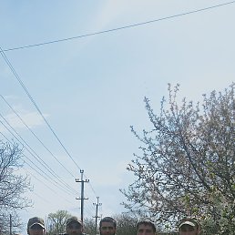 ����, �����������, 32 ����