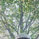 ���� ������, ����, 45 ��� - ��������� 11 ������� 2024 � ������ ���� ����������