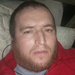 ����, ������, 41 ���