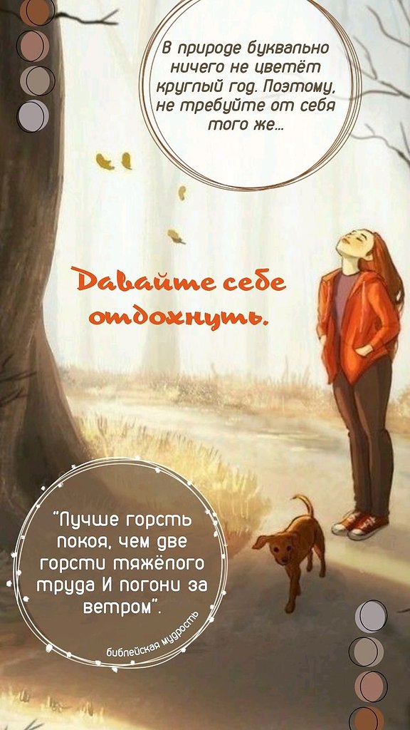   - 11  2024  11:26