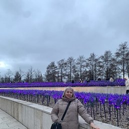 �����, �������-����������, 48 ���