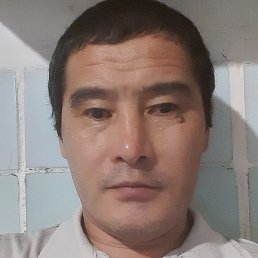 �������, ���������, 52 ����