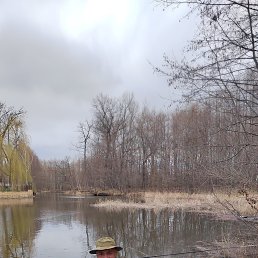  , , 42  -  8  2025