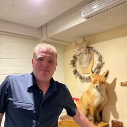 Gimranov, ���������, 40 ���