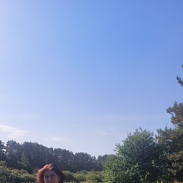 �����, �������, 64 ����