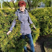 �����, , �����������