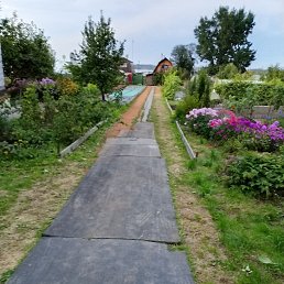 ���� �������, ������������, 50 ��� - ��������� 29 ������� 2026