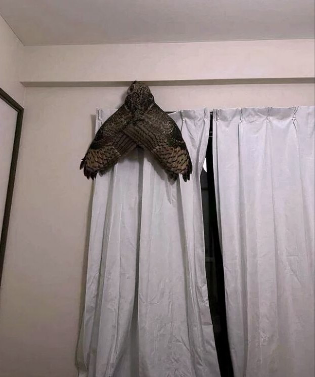 , ... . "" ...)