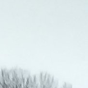 ������, 33 ����, ��������