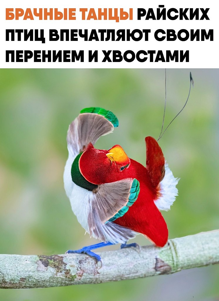 ����� ������� ���� ��������� ������ � ������������� ���� ������� ��������� �����.� ���� ���� ��� ...