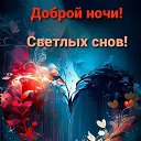 ���� �����, ������, 48 ��� - ��������� 21 �������� 2024 � ������ ���� ����������