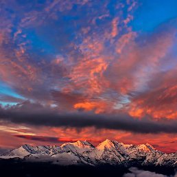 Nature, ������