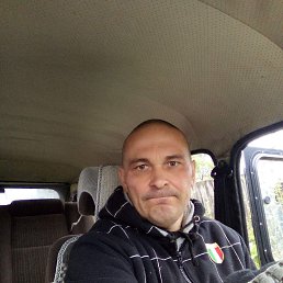  , 51, 