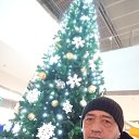 ���� ��������� �������, ������, 51 ��� - ��������� 8 ������ 2025 � ������ ���� ����������