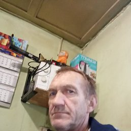 , 55, 