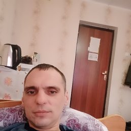 �������� ������, 41 ���, ���������