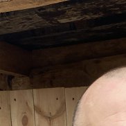 ������, 49 ���, �����������