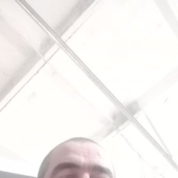 �������, ����, 43 ����