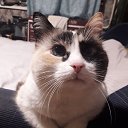 ���� �������, �����, 54 ���� - ��������� 24 ������ 2025 � ������ ���� ����������