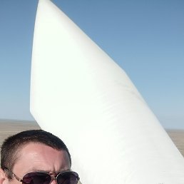 , 34, 