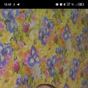 �����, 30 ���, �������