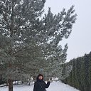 ���� ��������, ����, 37 ��� - ��������� 15 ������� 2025 � ������ ���� ����������