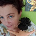 ���� ������, ��������, 48 ��� - ��������� 4 ���� 2025 � ������ ���� ����������