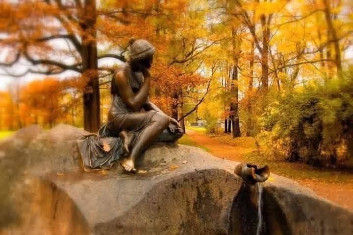 :)   ..     ..     ,    ... - 3