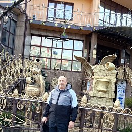 ������, 65 ���, ��������