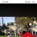 ���� �����, �����-���������, 55 ��� - ��������� 23 ������� 2026