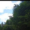 ���� �������, ������, 45 ��� - ��������� 16 ������� 2026 � ������ ���� ����������
