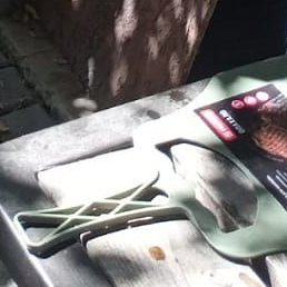 ���������, ���������, 33 ����