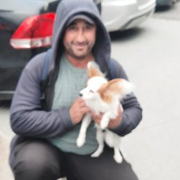 , 42, 