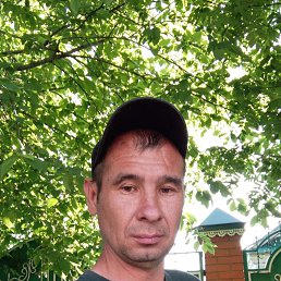 ������, 42 ����, ������