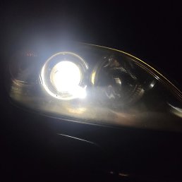 ������, ������, 25 ���