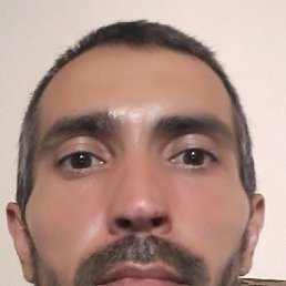 �����, 38 ���, ������