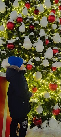 ���� �����, �����, 37 ��� - ��������� 10 ����� 2024
