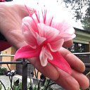 ���� ����, �����-���������, 51 ��� - ��������� 19 ������� 2025 � ������ ���� ����������