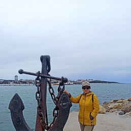 , 61, 