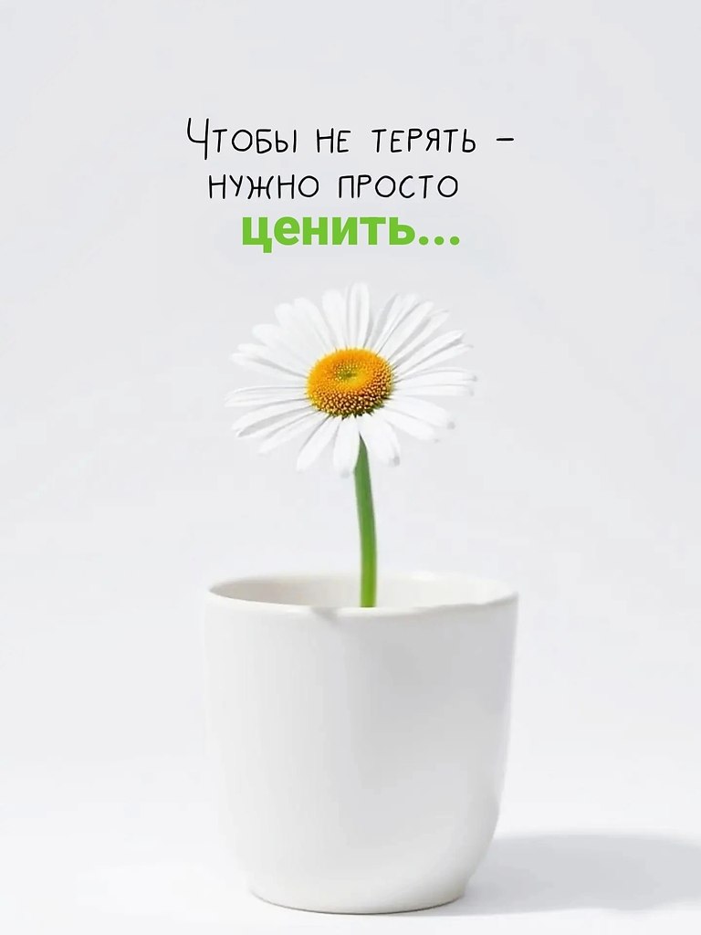 .. - 9  2025  22:17