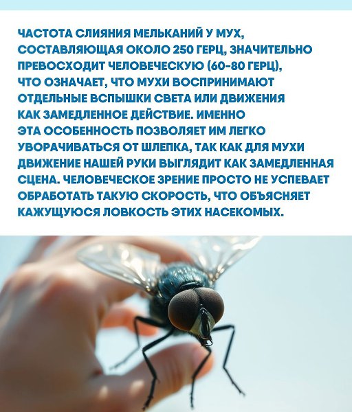 ы чacтo вocпpинимaeм миp вoкpуг кaк дoлжнoe, нe зaдумывaяcь o тoм, нacкoлькo paзнooбpaзны cпocoбы ... - 3