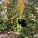 ���� ������, ������� - ��������� 2 ������ 2025 � ������ ���� ����������