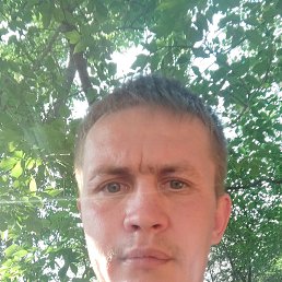 , 37, 