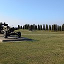 ���� ���������, �����, 38 ��� - ��������� 29 ������� 2023 � ������ ���� ����������