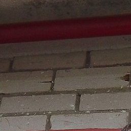 ���������, �����, 50 ���