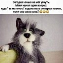���� ����, ��������� ��� ���� ����������, 54 ���� - ��������� 23 ����� 2026 � ������ ���� ����������