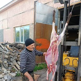 ����, 63 ����, ����