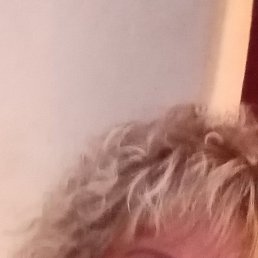 ���� ������� ���������, ������ �����, 56 ��� - ��������� 28 ������� 2024