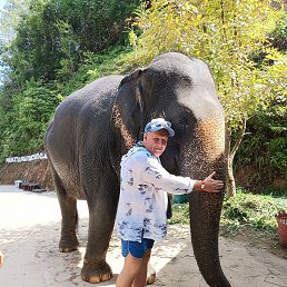 ���������, 45 ���, ������