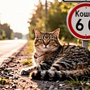 ���� �����, ������, 51 ��� - ��������� 10 ������ 2026 � ������ ������ ��������